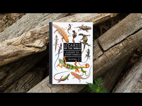 Lizards of the World: A Guide to Every Family #lizards