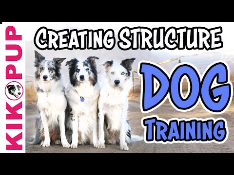 STOP UNWANTED behaviors with BACK UP