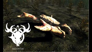 Beyond Skyrim Advent Calendar 2023 Day 2 - Valenwood New Creature Spotlight