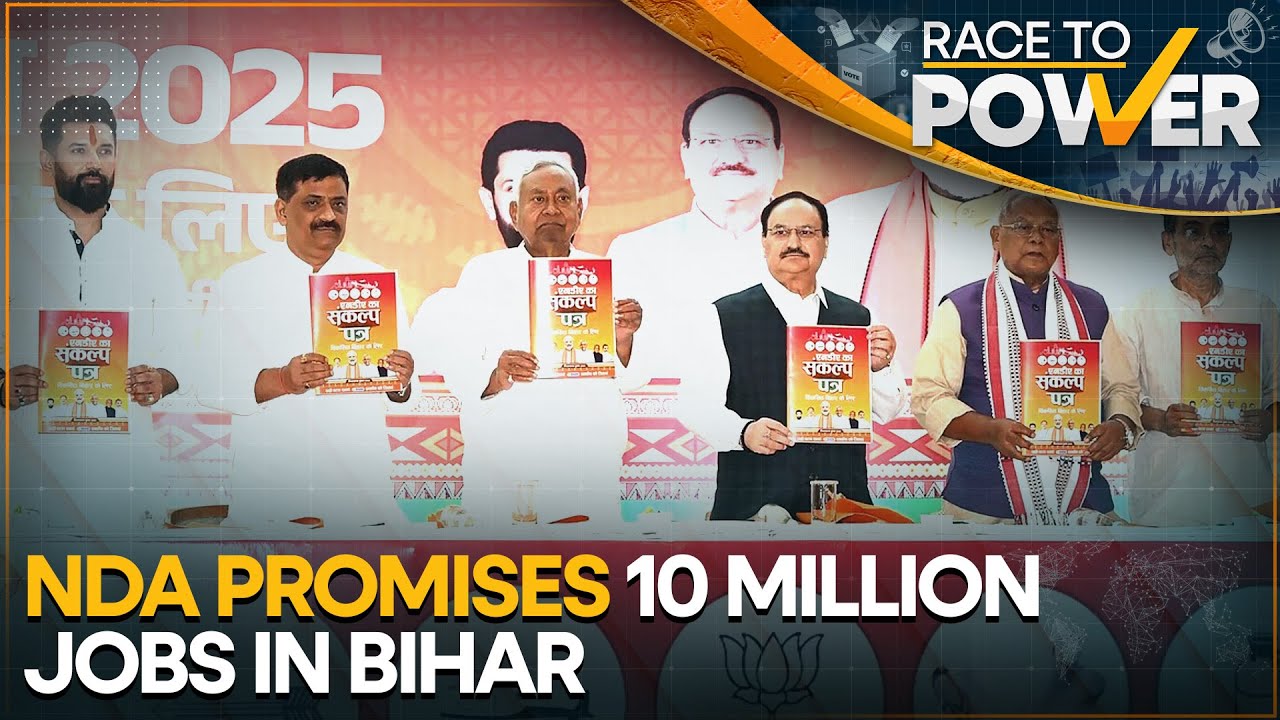Bihar Assembly Elections 2025: Where Will Promised Government Jobs Come From? | Race To Power