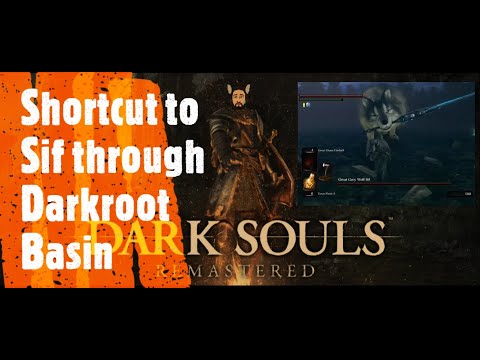 Dark Souls Remastered [Shortcut to Sif through Darkroot Basin]