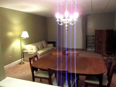 New rental in Shrewsbury (now rented)