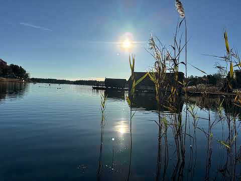 Västerviks resort 8/11 2024