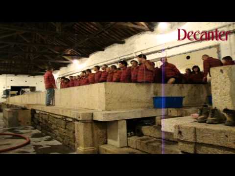 In the lagares at Quinto do Vesuvio