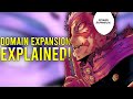 Yuji S Domain Expansion EXPLAINED