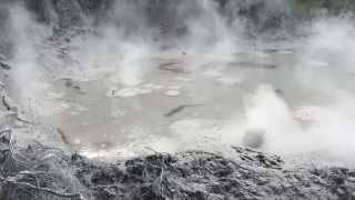 preview picture of video 'Wai-O-Tapu Mud Pools'