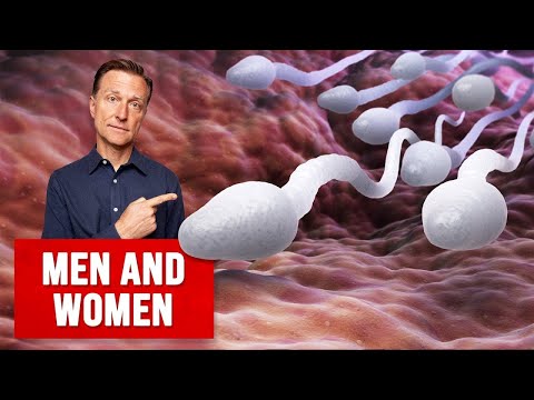 Hidden Dangers of Soy How Does it Affect Your Body – Dr Berg