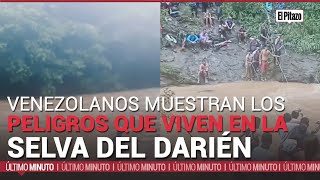 Venezolanos muestran los peligros que viven en la selva del Darién