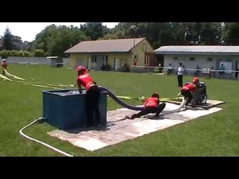 DHZ SEKULE ženy (ščeňátka) 24.6.2012 Sobotište