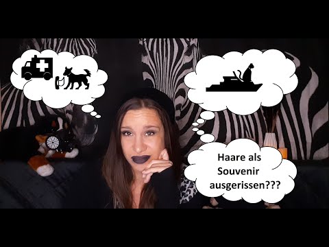 Ein Braunbär rettet Leben...? | Tiere in den Weltkriegen | Pixiebox's Dunkle Vergangenheit