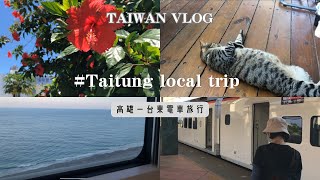 【 TAIWAN 】一泊二日台湾・台東ローカル電車旅行 / 2天1夜台東火車旅行