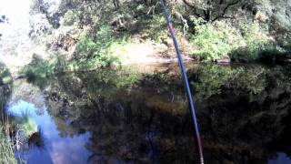 Tenkara Fly Fishing July 2011 near Grass Valley, CA.