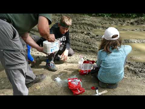 Jak odlít stopu medvěda hnědého