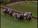 1988 Breeders' Cup Turf