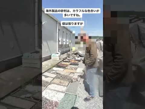 果樹の根元に砂利を置く：いつ、どのように置くのですか？  庭園