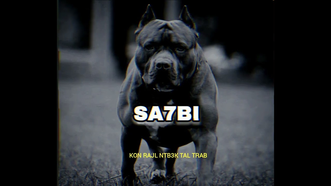 LZ3ER -SA7BI - لزعر - صاحبي