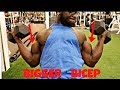 5 Bicep Exercises For BIGGER And WIDER Arms (Problem FIX)
