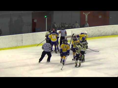 55. 2016 WSI 02 Playoffs Qtr Final #2 Sweden - WCAN