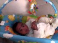 Natan E Galinha Pintadinha Avi