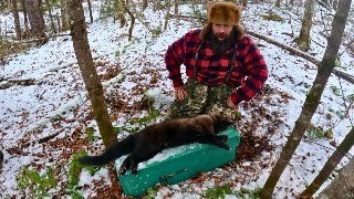 Q&A for Subscribers from THE TRAPLINE