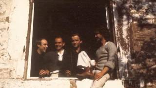 Harmonia & Eno '76 - Les Demoiselles