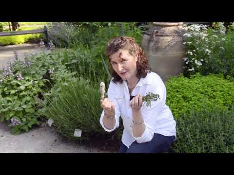 Det doftar i örtagården - del 4 - Rökelse