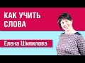 Как учить слова в иностранном языке - Елена Шипилова 