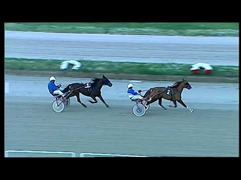 Trotto 11/12/2020 - 2ª prova di qualifica