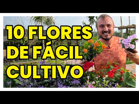 10 easy-to-grow flowers for your pot or garden.