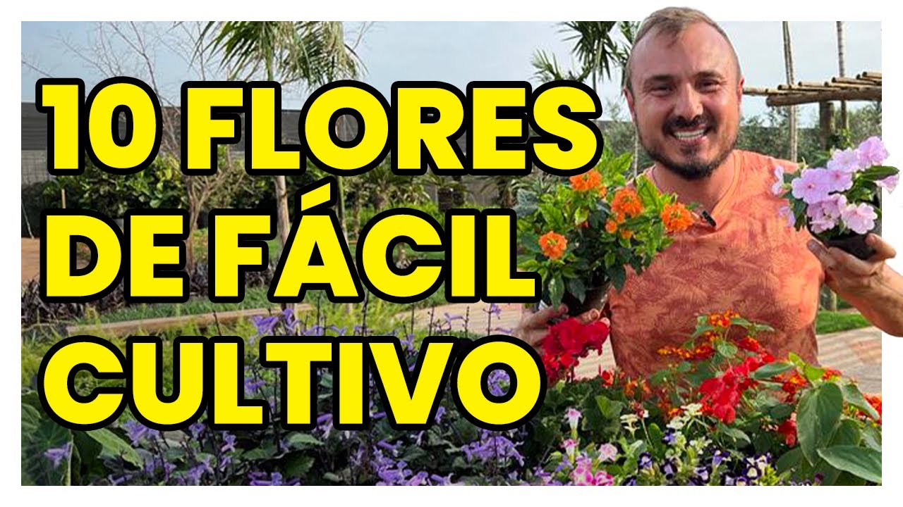 10 FLORES de fácil cultivo para o SEU VASO ou JARDIM