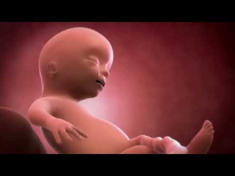 Your baby at 14 weeks | Week-by-week pregnancy | MadeForMums