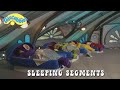Teletubbies Sleeping Segments