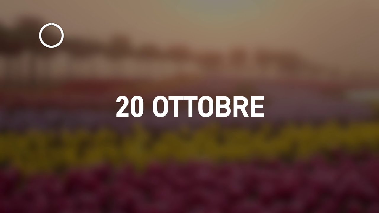 20 Ottobre 2024 | Meditazione Parole di Vita