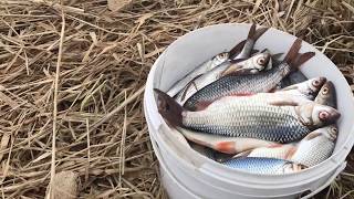 Ссылка