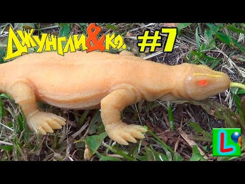 Deagostini ДЖУНГЛИ и КО МАКСИ КОМОДСКИЙ ДРАКОН ВАРАН Деагостини KOMODO LISKA SHOW UNPACKING #7