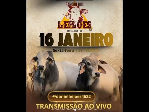 Fazenda Nova - GO   16/01/2026