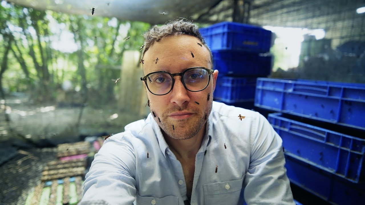 How Fly Farms are Transforming Food in the Philippines - The Next Superfood?