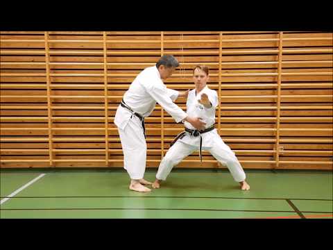 Sensei Poh Lim - Empi