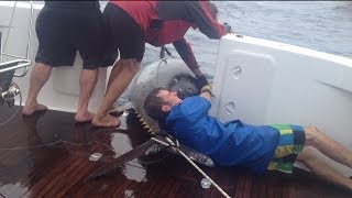 Woman reels in HUGE Tuna Fish catch in New Zealand