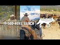 Nail Ranch: A Way of Life
