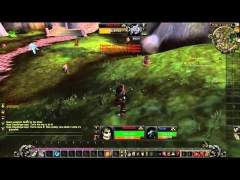 Battle For The Skies - World of Warcraft Quest