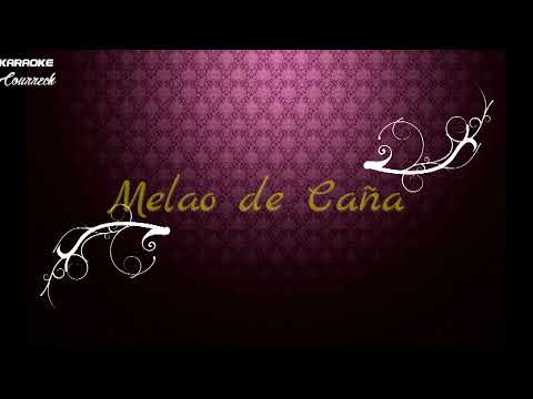 YERBERO Y MELAO DE CAÑA ESTILO ALQUIMIA XXI KARAOKE CON COROS
