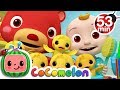 The Duck Hide And Seek Song More Nursery Rhymes Kids Songs CoComelon