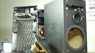 Look inside Pioneer S-W110S budget subwoofer - What's Inside?