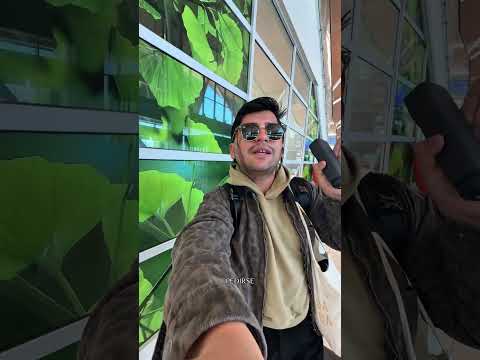 LLEGA DESDE EL AEROPUERTO EL LOA A SAN PEDRO DE ATACAMA