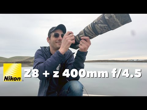 Nikon Z8 and z 400mm f/4.5 - first impressions from a Canon R5 user