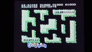 Safari Hunting: Sega SG-1000 (A look at the system as well)