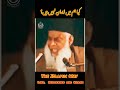 Kiya Hum Mai Iman Nahi Hai Dr Israr Ahmed Trending Shorts Viral Foryou Youtubeshorts India