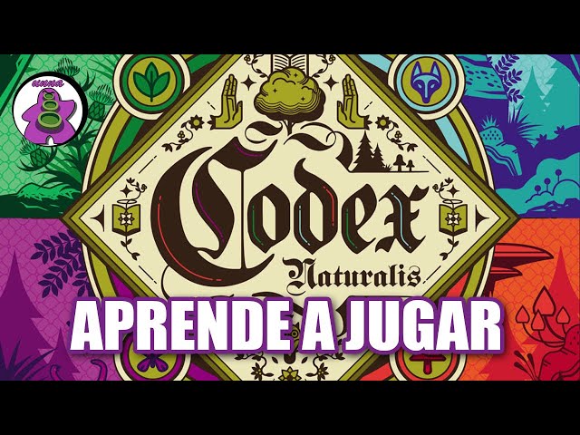Vídeo relacionado con Vedes Natural Games Master - Juego de lógica (27 x 12,5 x 4 cm)