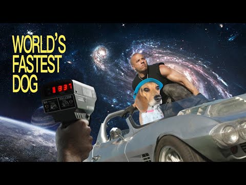 Ron & Stacy: The Fastest Dog Alive